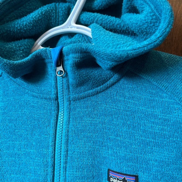 Patagonia Hooded Fleece Zip-up - Picture 5 of 15
